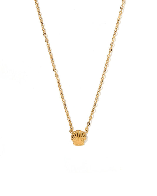 Necklace - Marina Shell - Shop LINNY CO