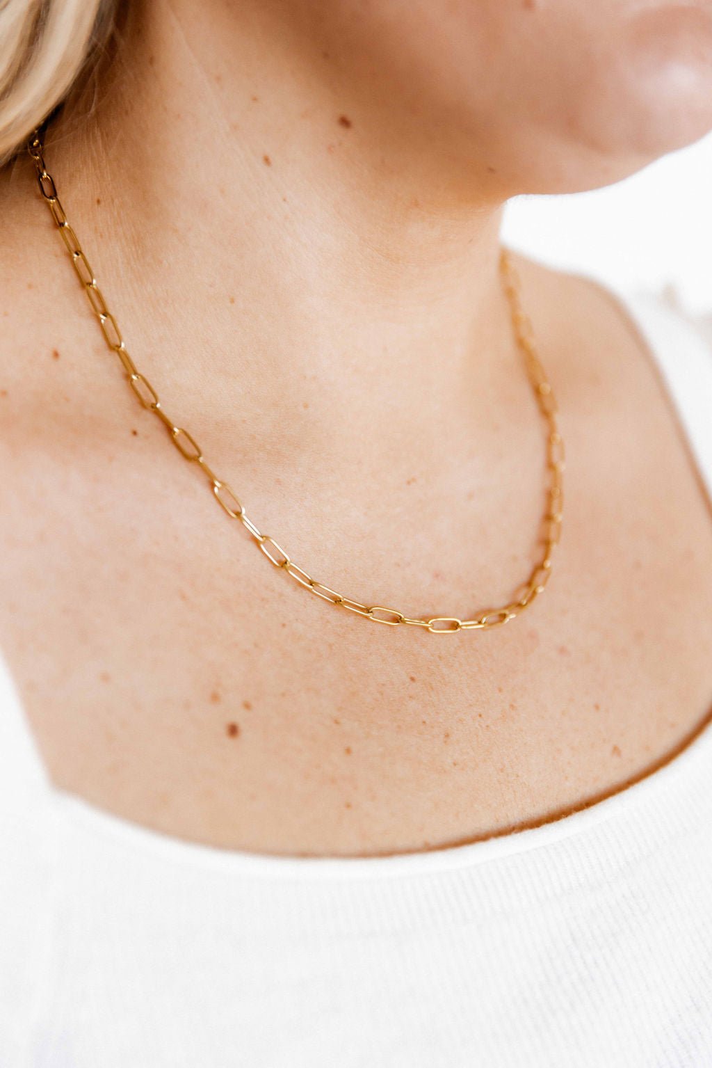 Necklace - Palmer Paperclip - Shop LINNY CO