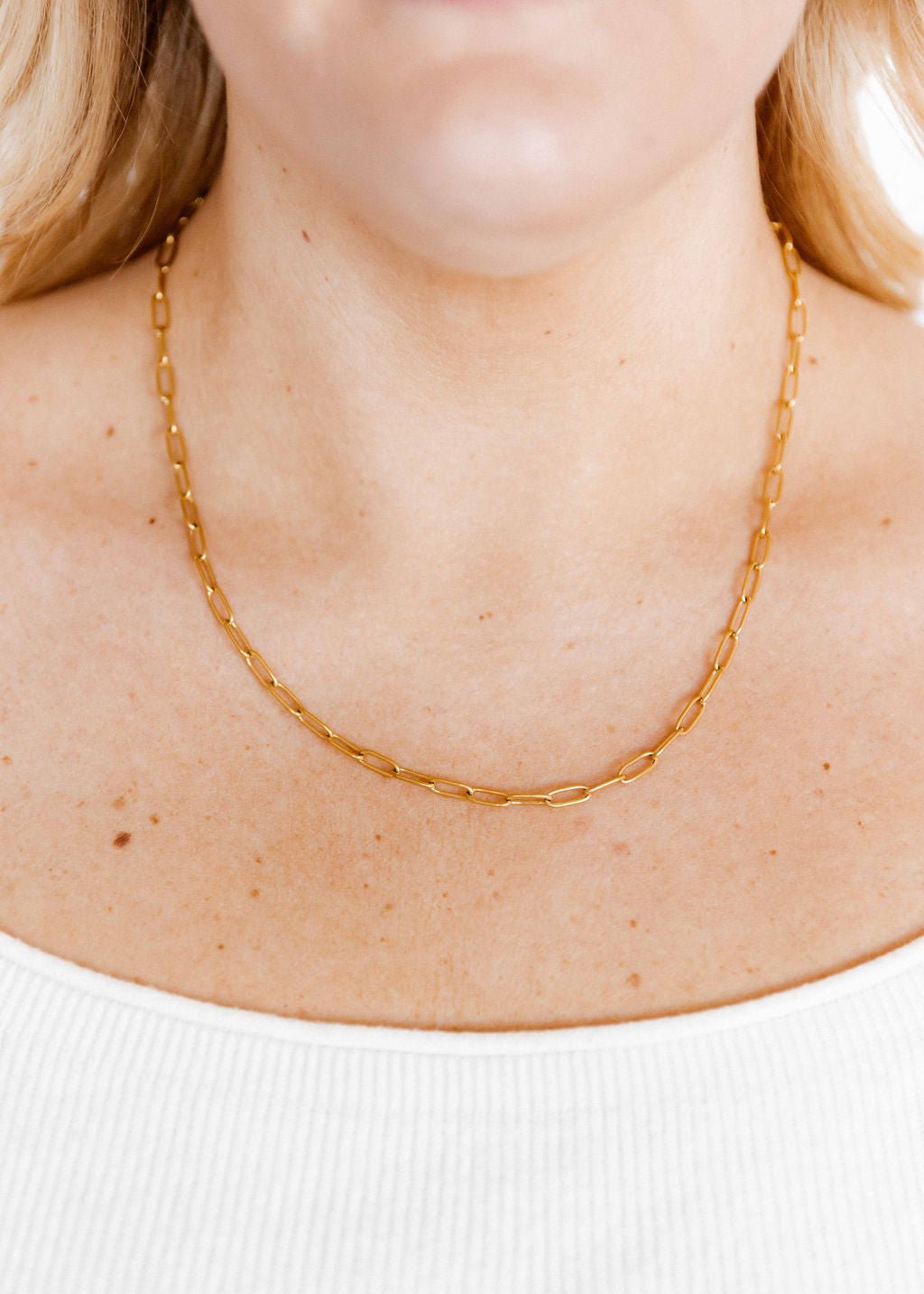 Necklace - Palmer Paperclip - Shop LINNY CO