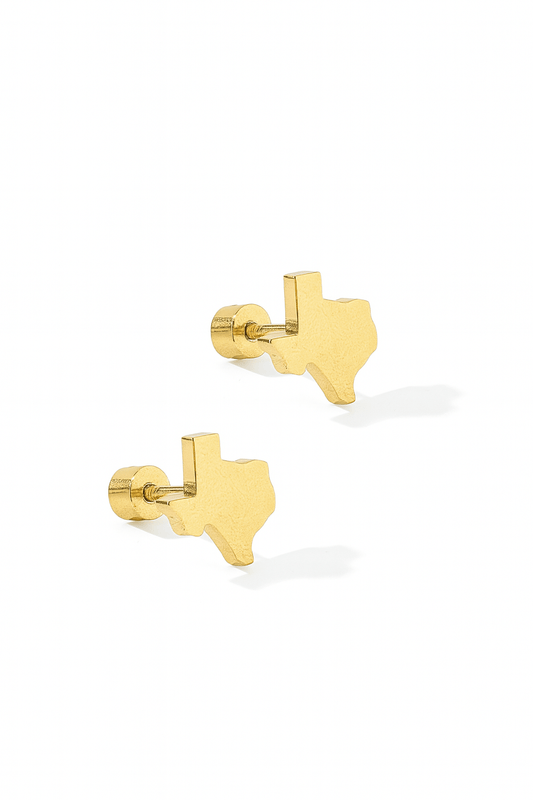 Screwback Stud Earrings - Big Texas - Shop LINNY CO