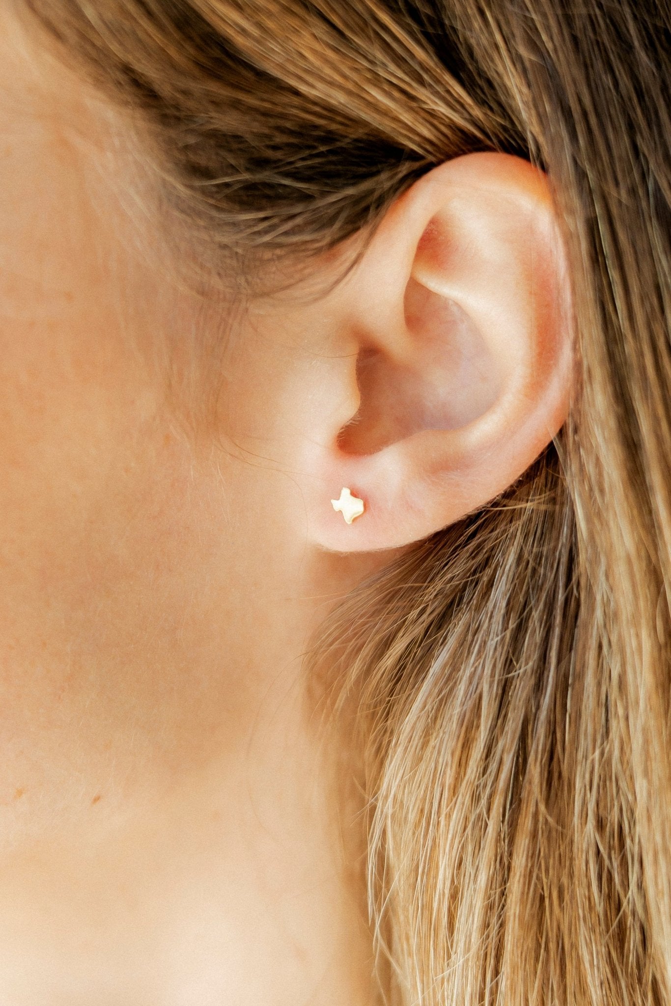 Screwback Stud Earrings - Petite Texas - Shop LINNY CO