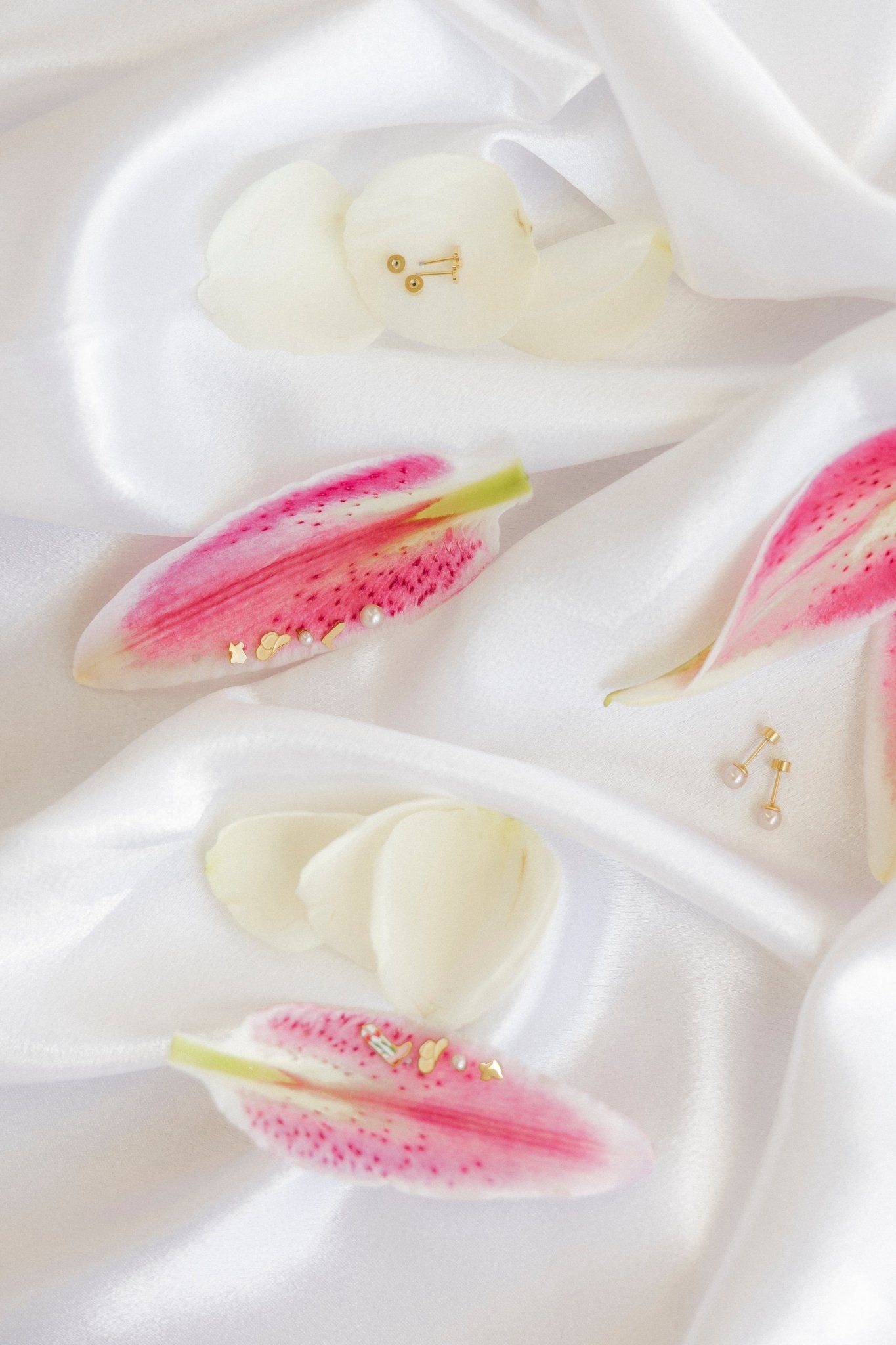 Screwback Stud Earrings - Petite Texas - Shop LINNY CO