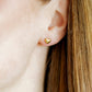 Screwback Stud Earrings - Hadley