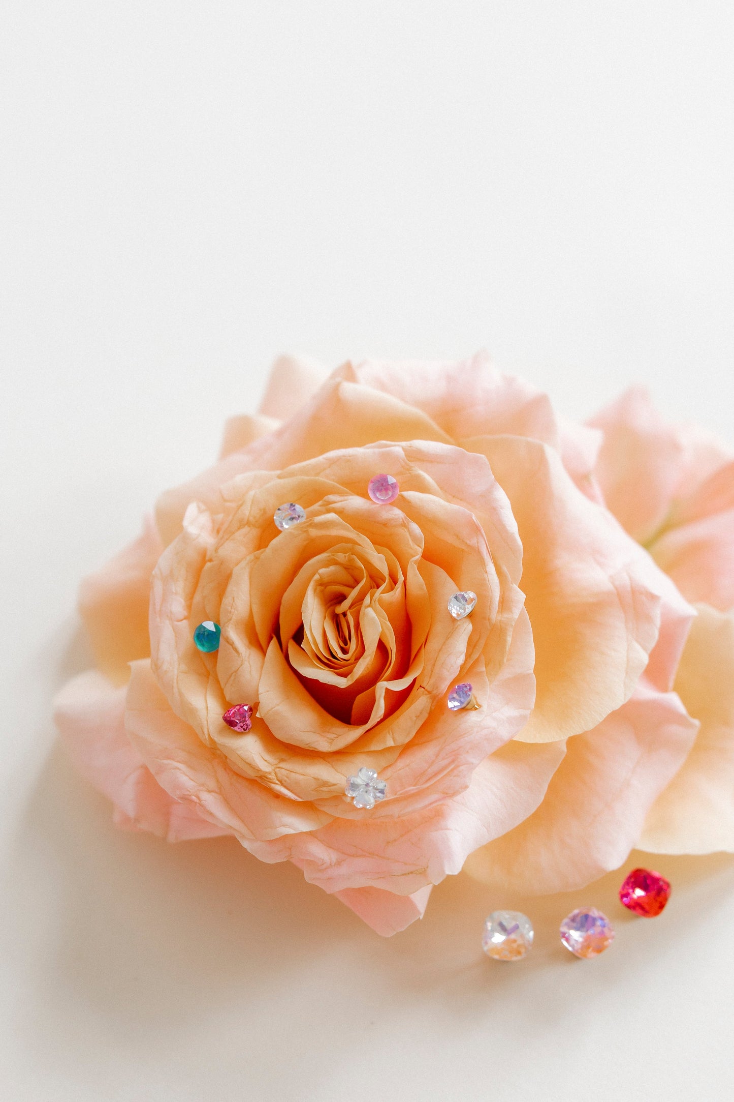 Screwback Stud Earrings Lux - Kit Baby Pink