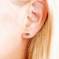 Screwback Stud Earrings - Watermelon
