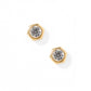 Screwback Stud Earrings - Addison Clear