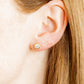 Screwback Stud Earrings - Addison Clear