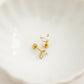 Screwback Stud Earrings - Nova