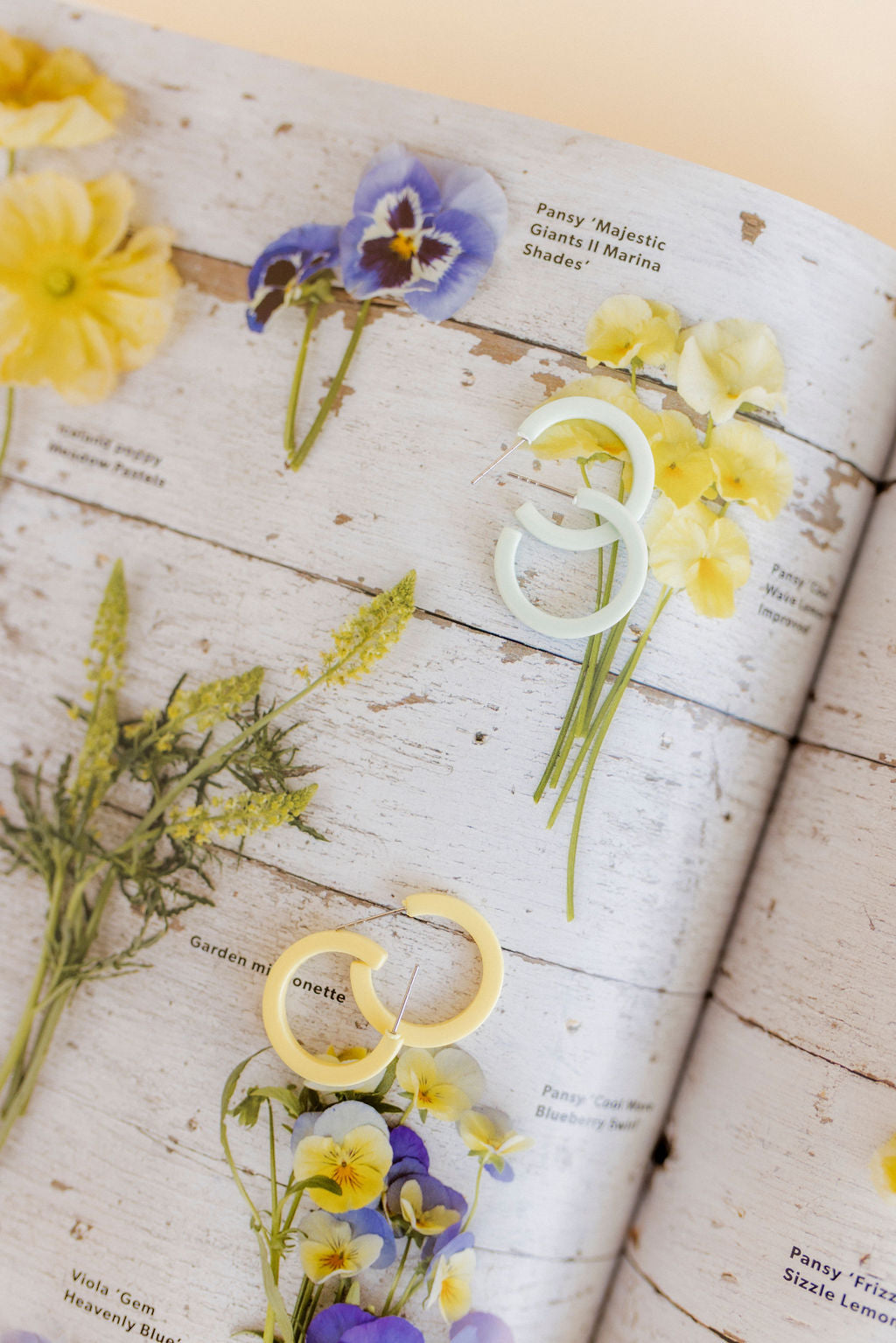 Holly Mini Hoop Earrings - Buttercup Yellow