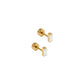 Screwback Stud Earrings - Amber