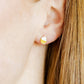 Screwback Stud Earrings - Cupcake - Shop LINNY CO
