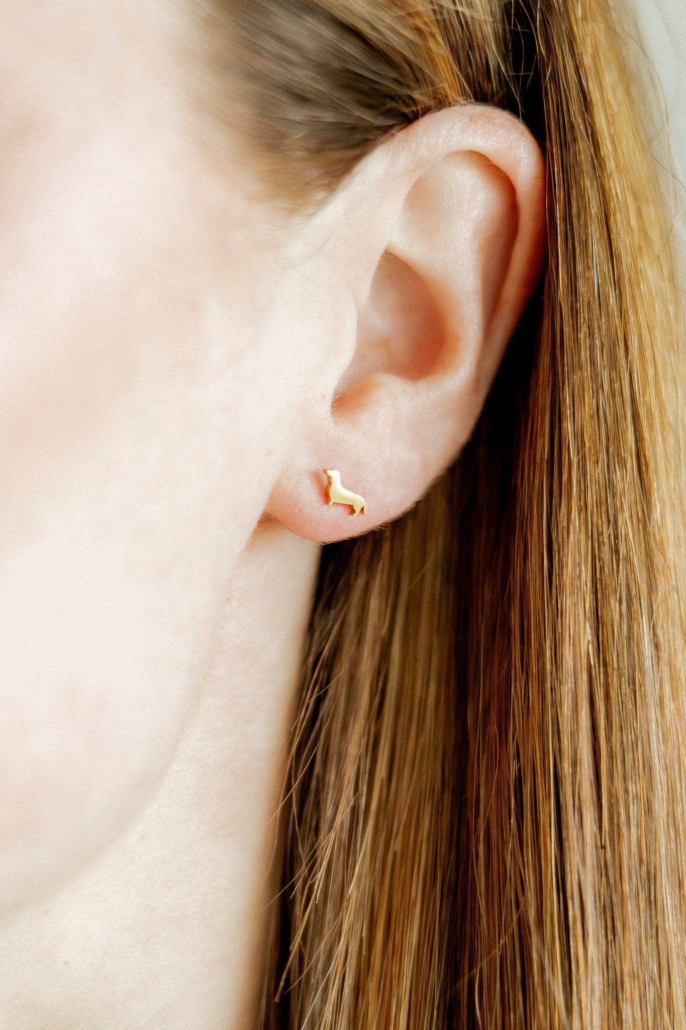 Screwback Stud Earrings - Dachshund - Shop LINNY CO