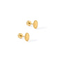 Screwback Stud Earrings - Drew Oval Gold - Shop LINNY CO