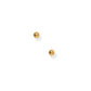 Screwback Stud Earrings - Evelyn Gold - Shop LINNY CO