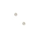 Screwback Stud Earrings - Helen Gold - Shop LINNY CO