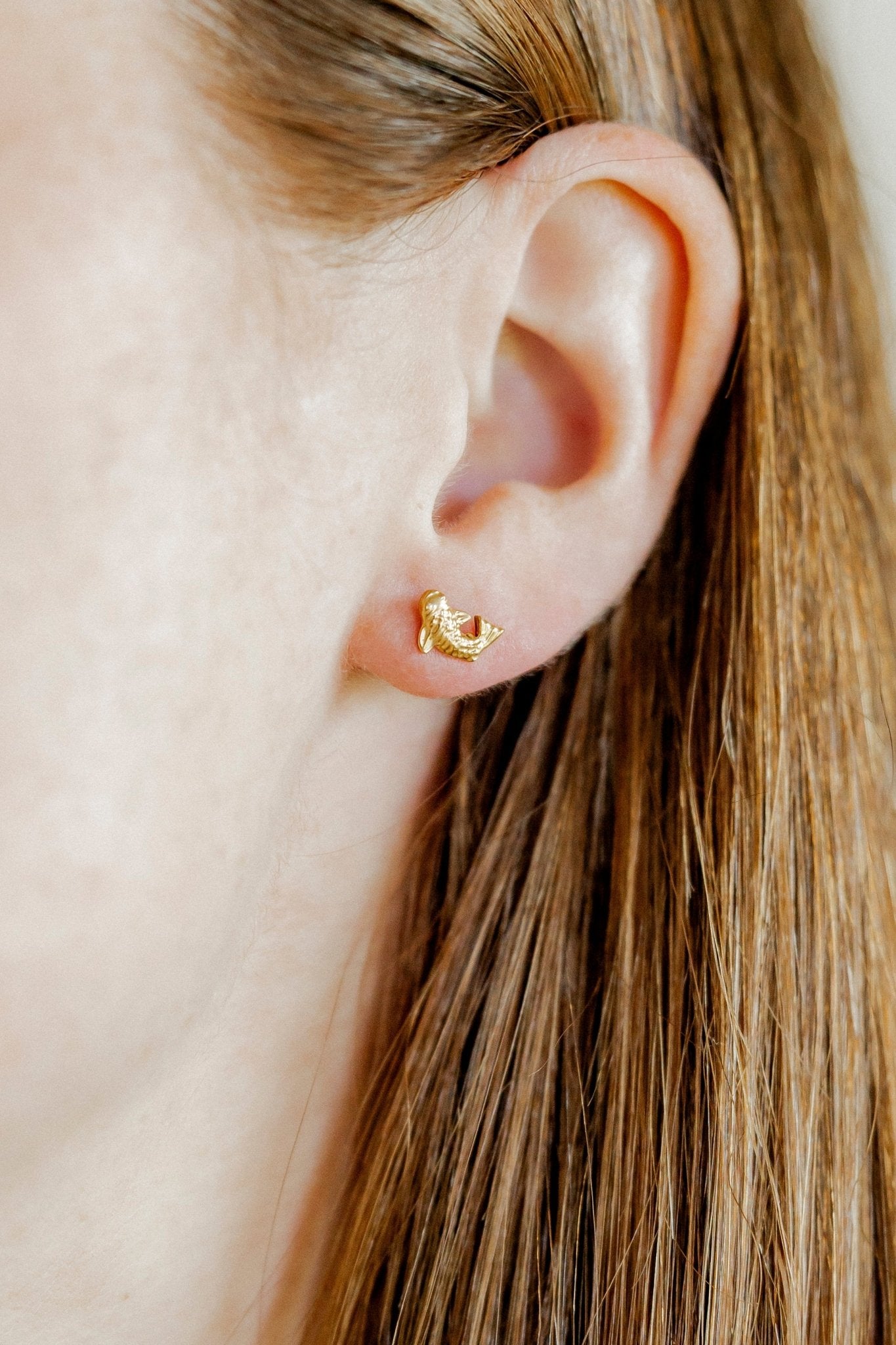 Screwback Stud Earrings - Koi Gold - Shop LINNY CO