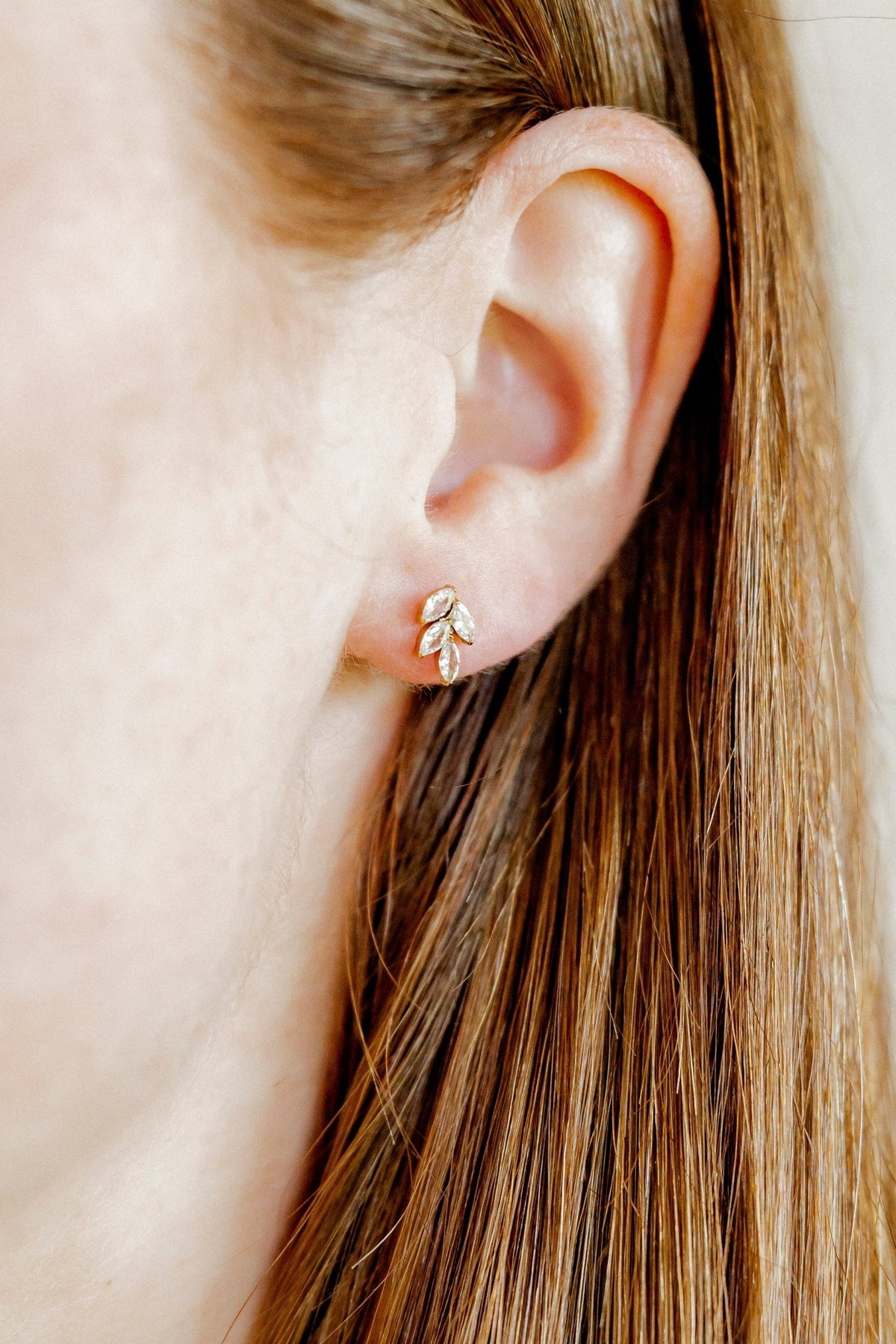 Screwback Stud Earrings - Laurel Gold - Shop LINNY CO