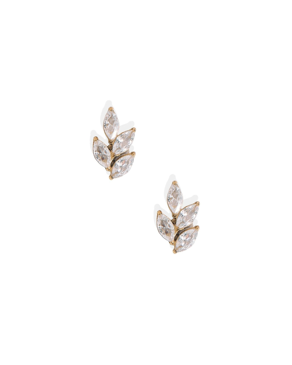 Screwback Stud Earrings - Laurel Gold - Shop LINNY CO
