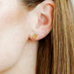 Screwback Stud Earrings - Lobster - Shop LINNY CO