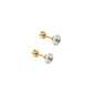Screwback Stud Earrings Lux - Zuri Clear - Shop LINNY CO