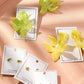 Screwback Stud Earrings - Martini - Shop LINNY CO