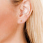 Screwback Stud Earrings - Micro Tally Gold - Shop LINNY CO
