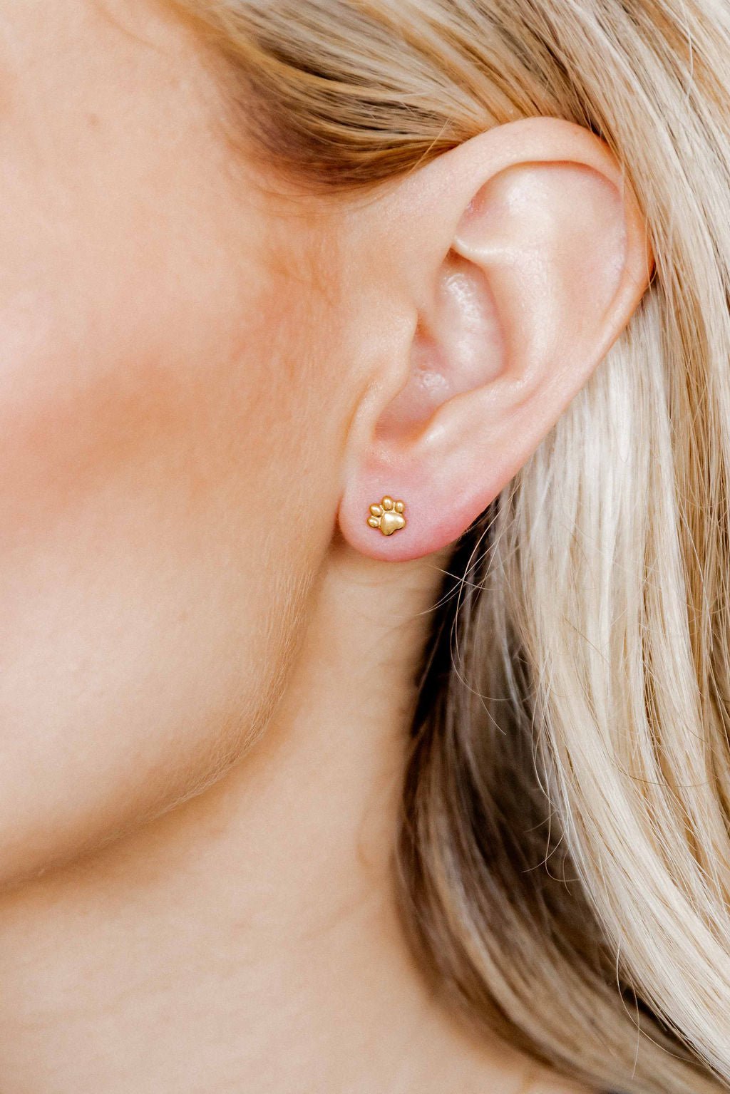 Screwback Stud Earrings - Paw Print - Shop LINNY CO