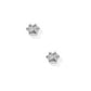 Screwback Stud Earrings - Paw Print Silver - Shop LINNY CO