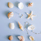 Screwback Stud Earrings - Payton Pearl White 5mm - Shop LINNY CO
