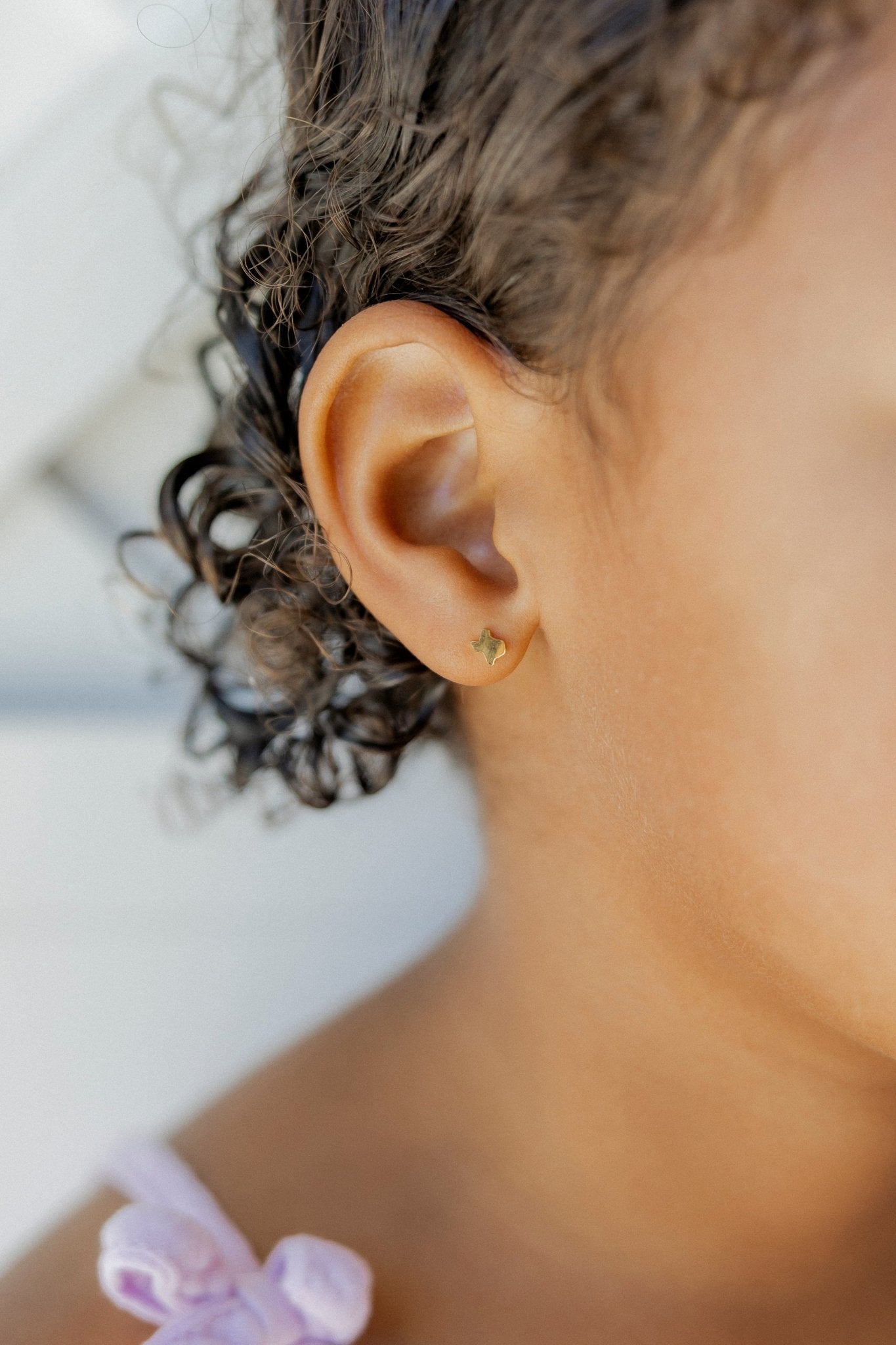 Screwback Stud Earrings - Petite Texas - Shop LINNY CO