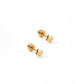 Screwback Stud Earrings - Petite Texas - Shop LINNY CO