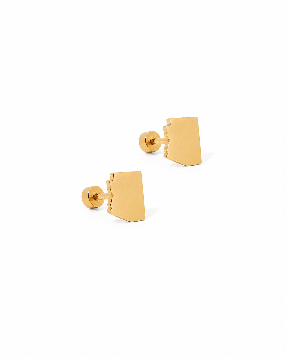 Screwback Stud Earrings - State of Arizona Gold - Shop LINNY CO