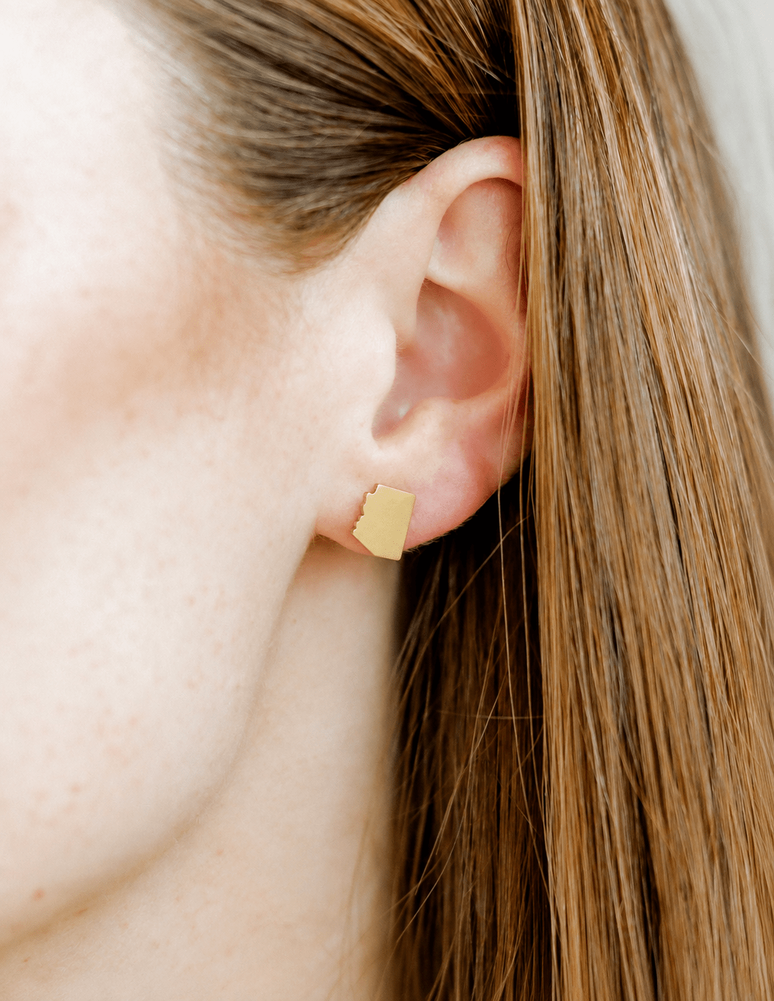 Screwback Stud Earrings - State of Arizona Gold - Shop LINNY CO