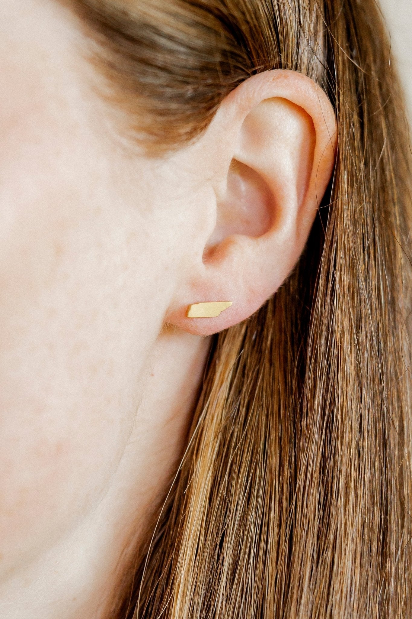 Screwback Stud Earrings - State of Tennessee - Shop LINNY CO