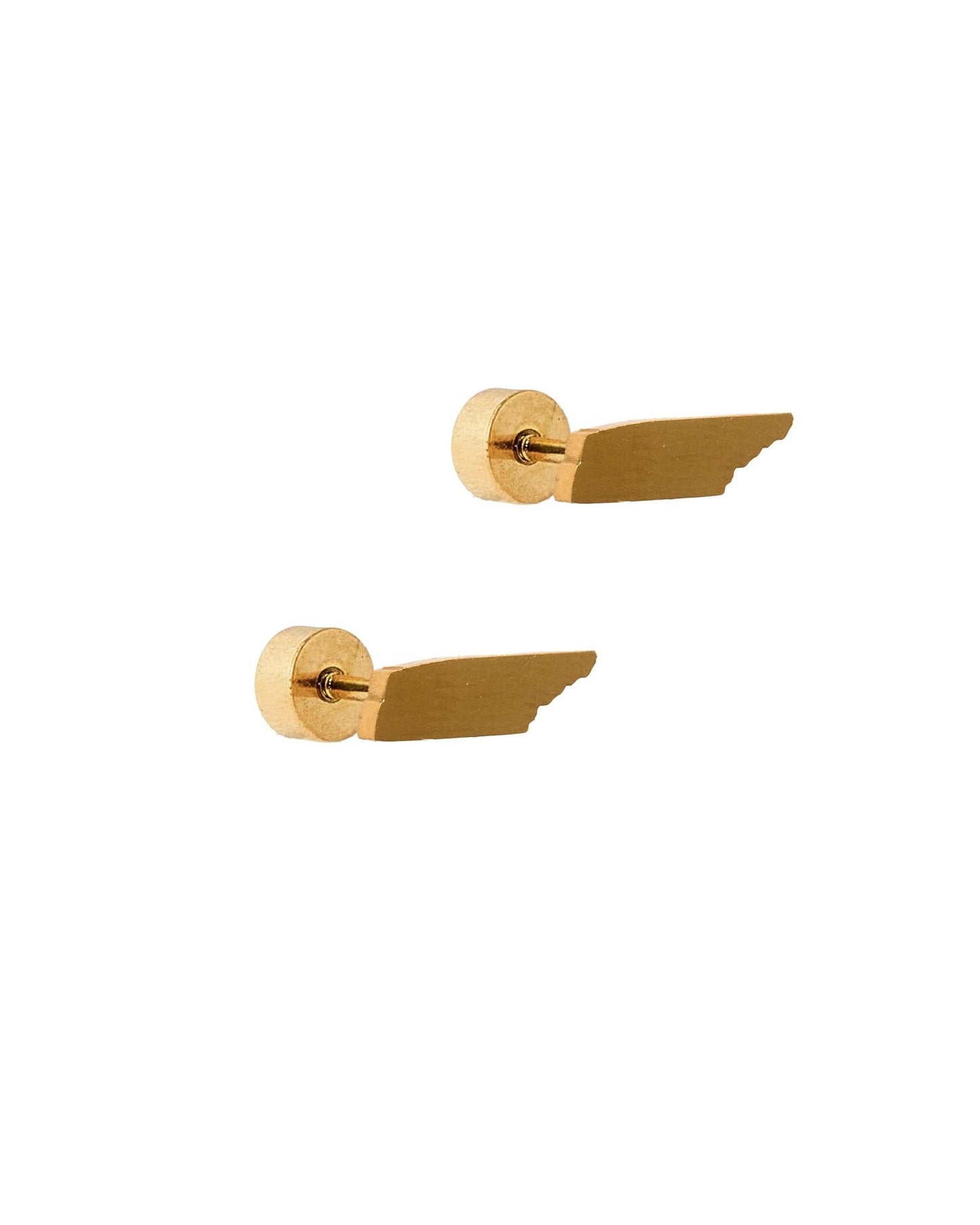 Screwback Stud Earrings - State of Tennessee - Shop LINNY CO