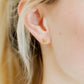 Screwback Stud Earrings - Sweet Clover Gold - Shop LINNY CO