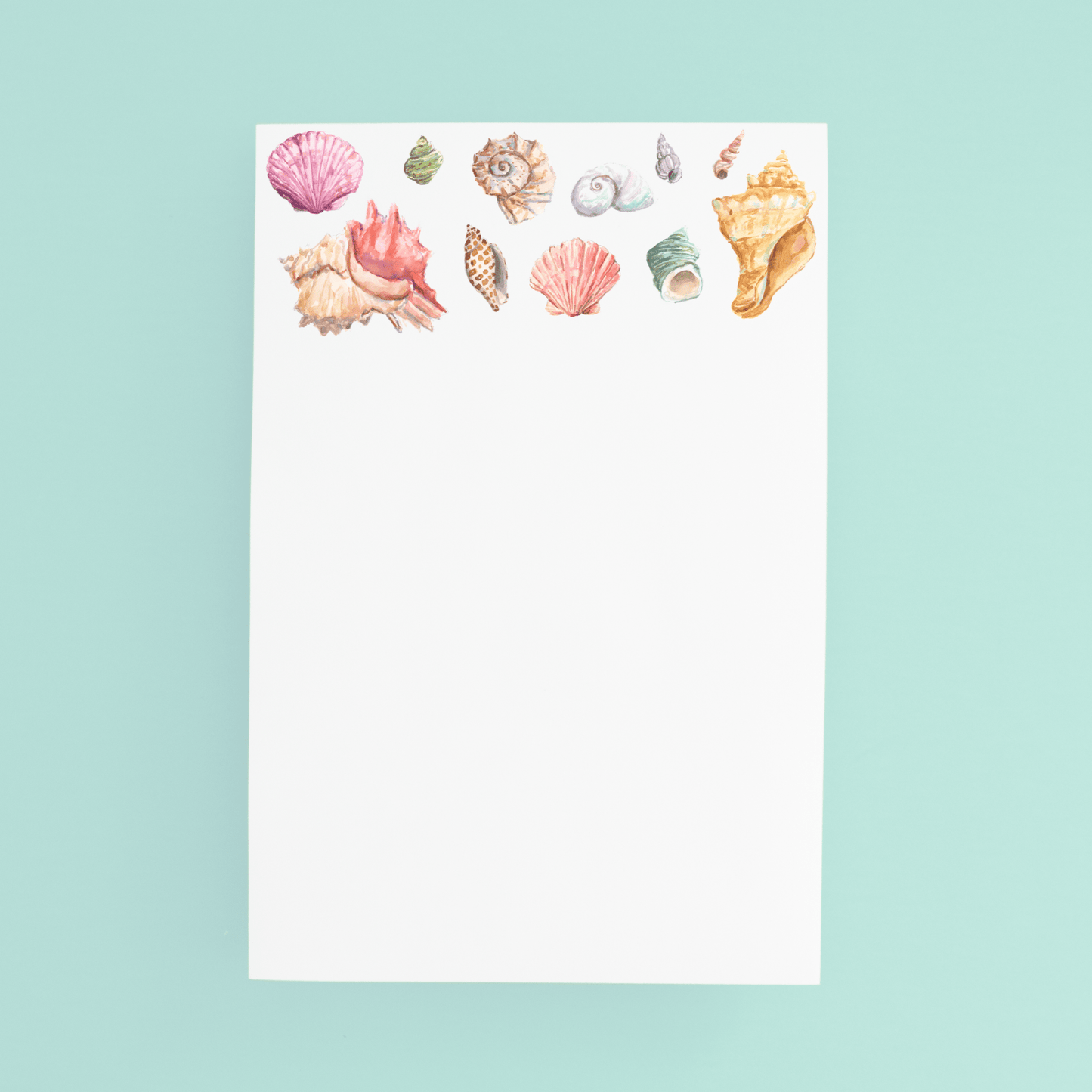 Seashell Jumbo Pad - Shop LINNY CO