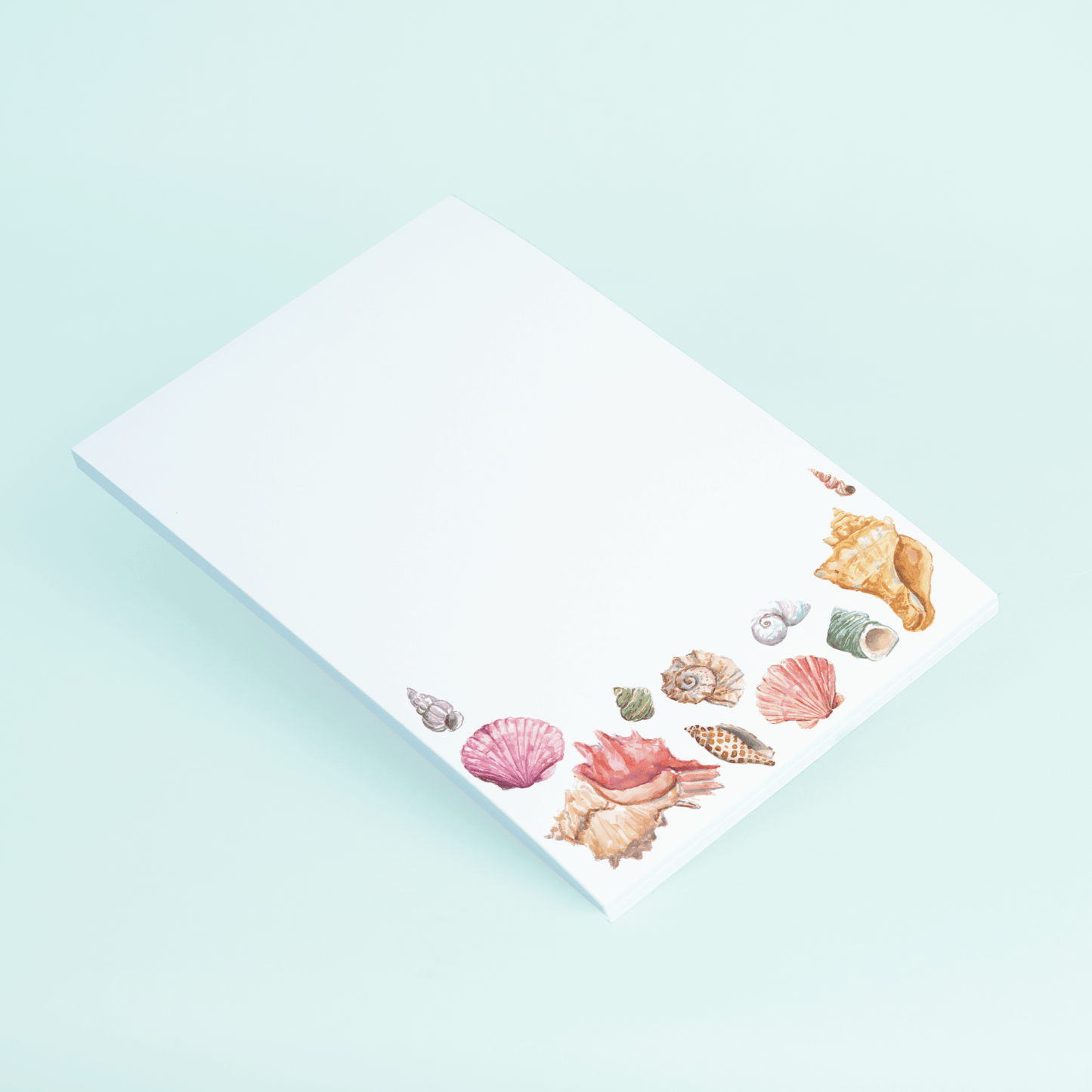 Seashells - Shop LINNY CO